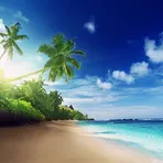 Beach Live Wallpaper логотип