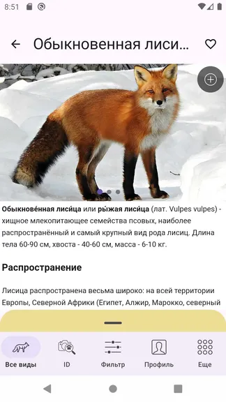 Скриншот 6/7