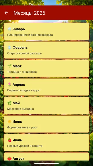 Скриншот 3/6
