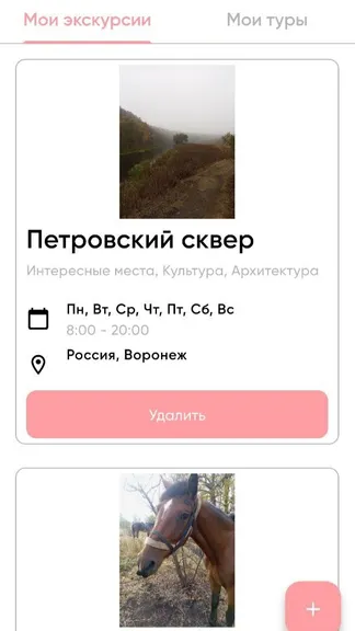 Скриншот 2/3