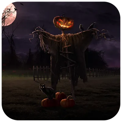 Halloween Live Wallpaper