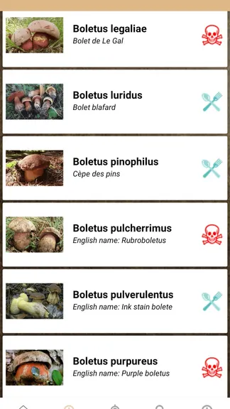 Скриншот 2/7