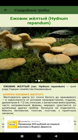 Скриншот 4/6
