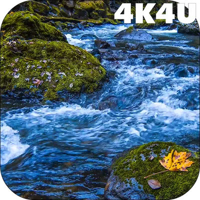 4K River Live Wallpapers