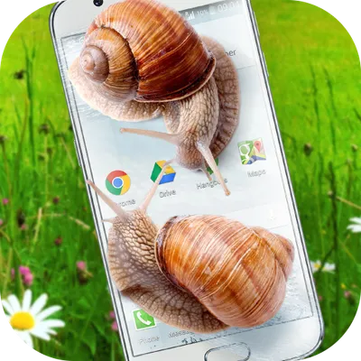 Snail in Phone joke