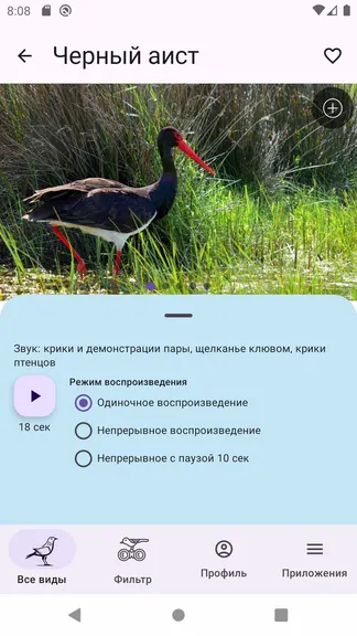 Скриншот 4/8