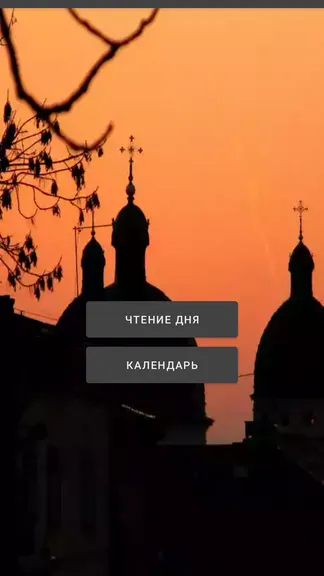 Скриншот 1/3