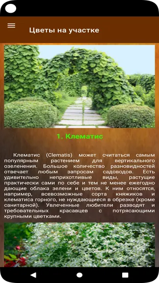 Скриншот 3/6