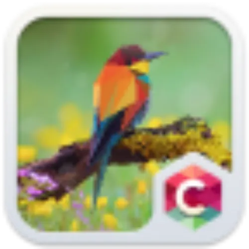 Launcher Theme: Геометрические красочные птицы — иконка