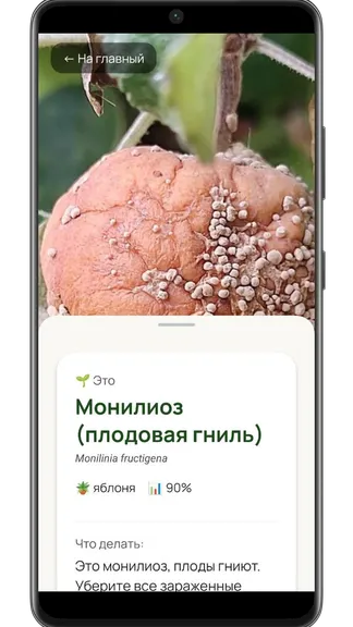 Скриншот 4/5