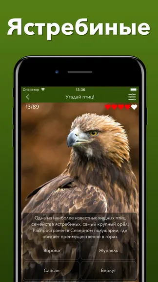 Скриншот 9/10