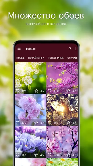 Скриншот 1/4