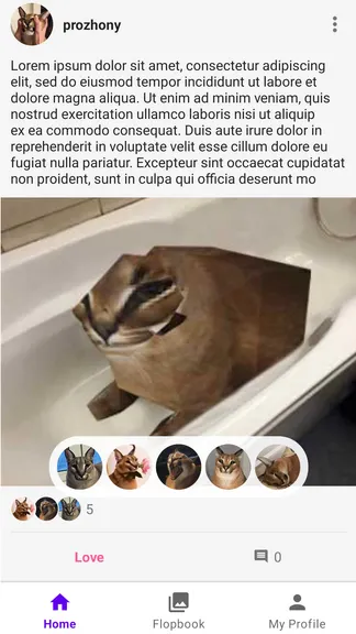 Скриншот 1/3