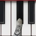 Cat Piano логотип