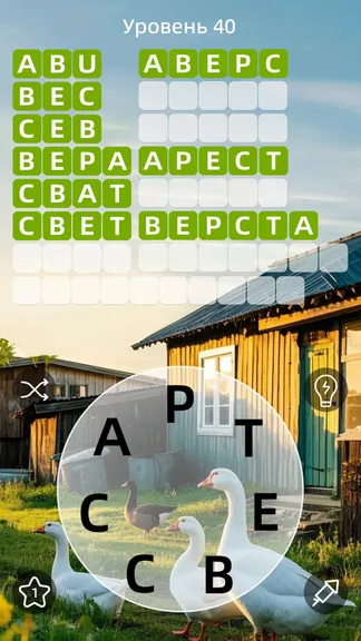 Скриншот 5/5