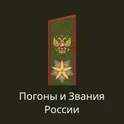 Погоны и звания России логотип