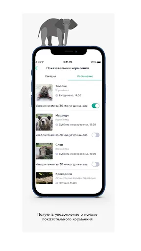 Скриншот 4/8