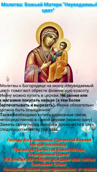 Скриншот 5/5