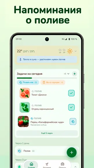 Скриншот 3/8