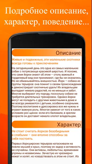 Скриншот 3/3