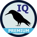 IQ тест Равена премиум логотип