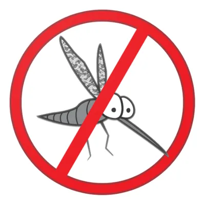 Anti Mosquito Sound