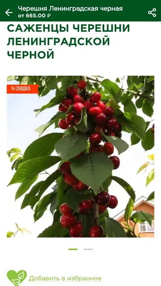 Скриншот 5/7