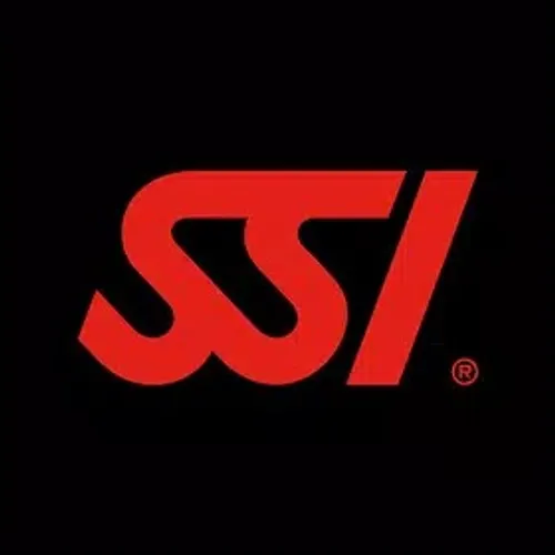 Безопасность данных и разрешения для SSI в RuStore