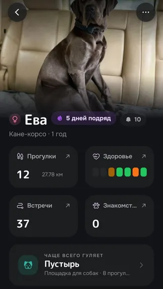 Скриншот 6/6