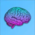 IQ Quiz | IQ викторина 2023 логотип