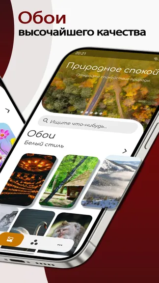 Скриншот 2/5