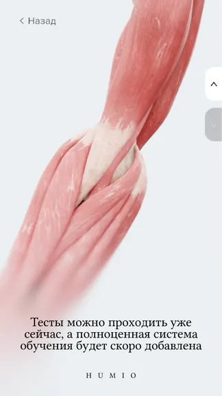 Скриншот 3/6