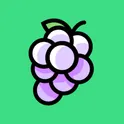 Grape - Эмулятор приставок Grape 2.0 c Авточитом логотип