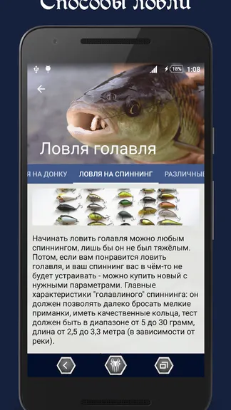 Скриншот 3/5