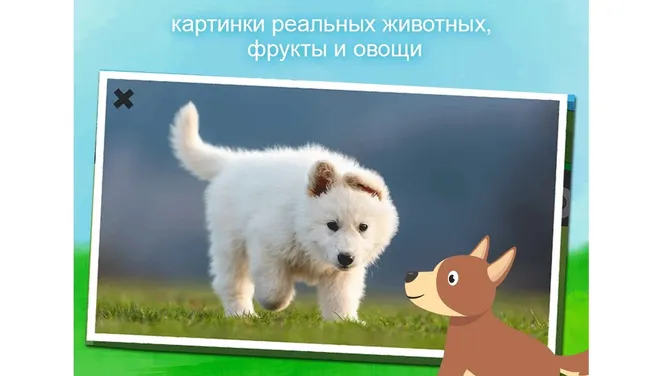 Скриншот 3/3