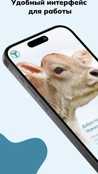 Скриншот 1/6