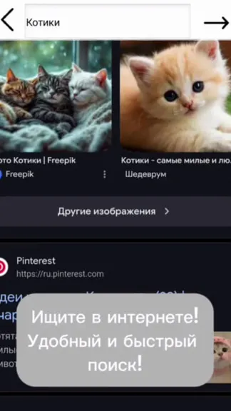 Скриншот 2/3