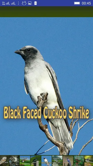 Скриншот 8/10