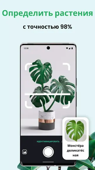 Скриншот 1/5