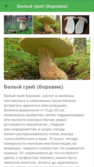 Скриншот 5/5