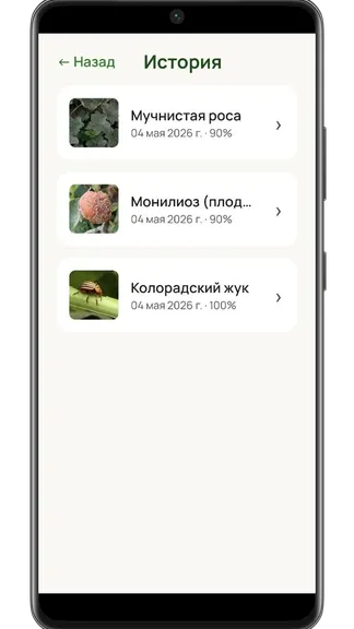 Скриншот 5/5