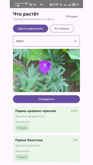 Скриншот 1/3