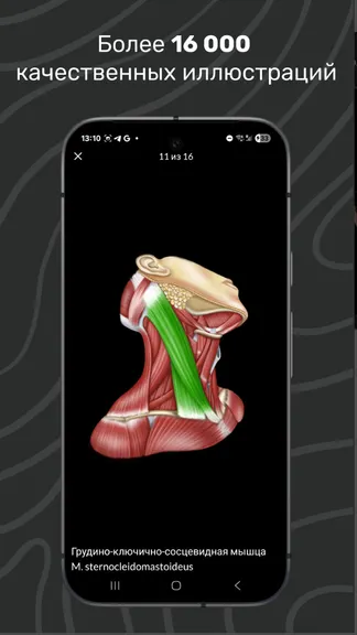 Скриншот 3/7