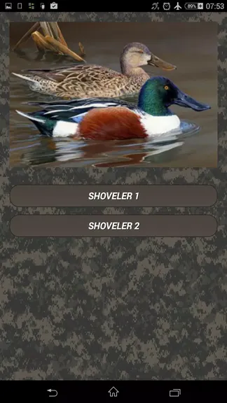 Скриншот 4/6