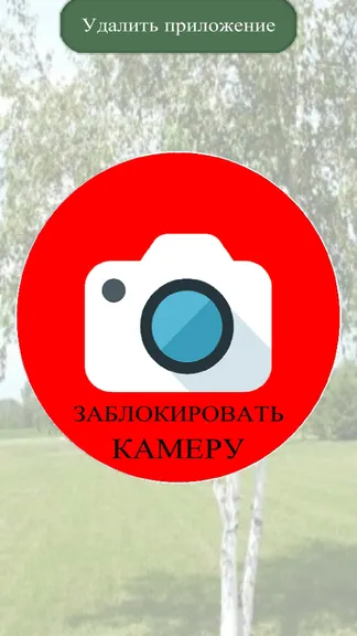 Скриншот 1/3