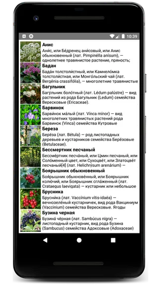 Скриншот 3/6