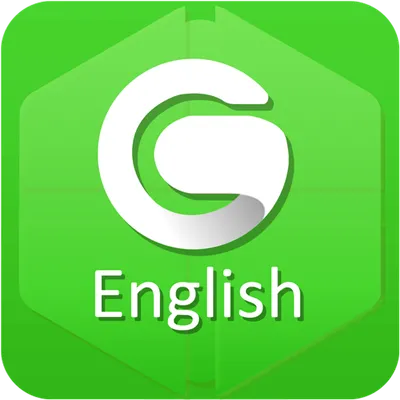 English Grammar Lite