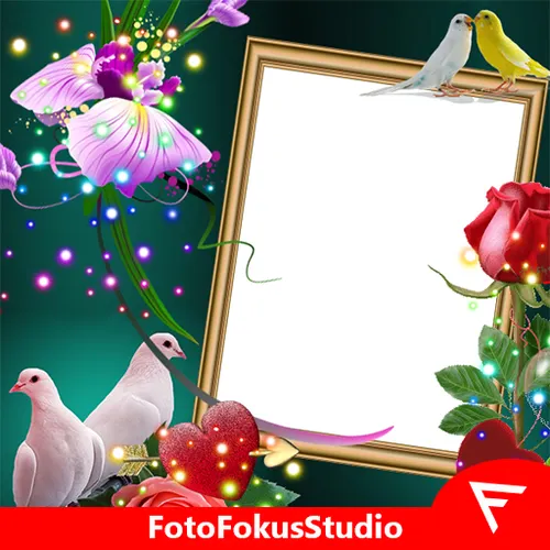 Love Birds Insta* DP : Bird DP Frames & Wallpapers — иконка