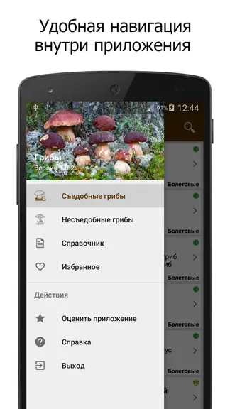 Скриншот 3/5