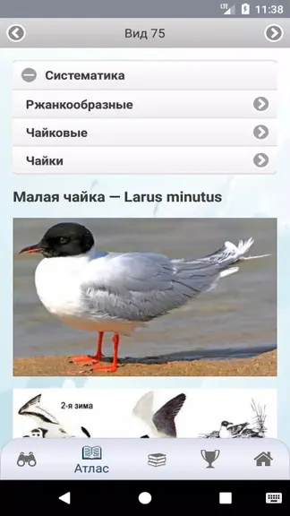 Скриншот 5/5